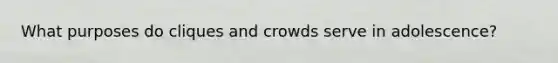 What purposes do cliques and crowds serve in adolescence?