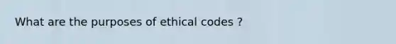 What are the purposes of ethical codes ?