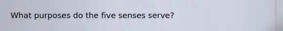 What purposes do the five senses serve?