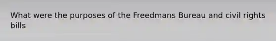 What were the purposes of the Freedmans Bureau and civil rights bills