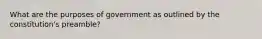 What are the purposes of government as outlined by the constitution's preamble?