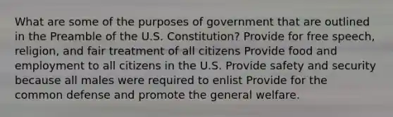 What are some of the purposes of government that are outlined in the Preamble of the U.S. Constitution? Provide for free speech, religion, and fair treatment of all citizens Provide food and employment to all citizens in the U.S. Provide safety and security because all males were required to enlist Provide for the common defense and promote the general welfare.