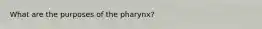 What are the purposes of the pharynx?