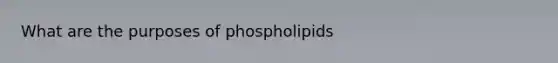 What are the purposes of phospholipids