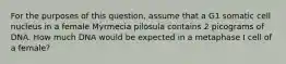 For the purposes of this question, assume that a G1 somatic cell nucleus in a female Myrmecia pilosula contains 2 picograms of DNA. How much DNA would be expected in a metaphase I cell of a female?