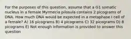 For the purposes of this question, assume that a G1 somatic nucleus in a female Myrmecia pilosula contains 2 picograms of DNA. How much DNA would be expected in a metaphase I cell of a female? A) 16 picograms B) 4 picograms C) 32 picograms D) 8 picograms E) Not enough information is provided to answer this question