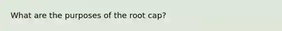 What are the purposes of the root cap?