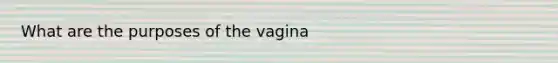 What are the purposes of the vagina