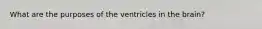 What are the purposes of the ventricles in the brain?