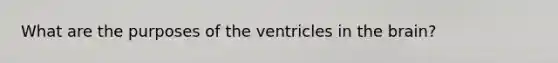 What are the purposes of the ventricles in the brain?