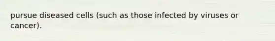 pursue diseased cells (such as those infected by viruses or cancer).
