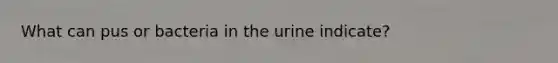 What can pus or bacteria in the urine indicate?