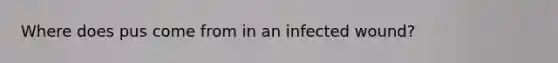 Where does pus come from in an infected wound?