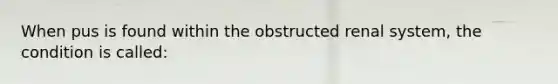 When pus is found within the obstructed renal system, the condition is called: