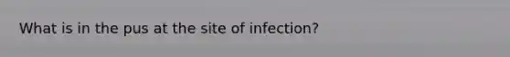 What is in the pus at the site of infection?