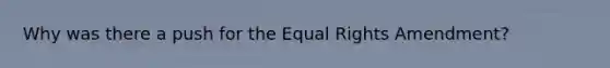 Why was there a push for the Equal Rights Amendment?