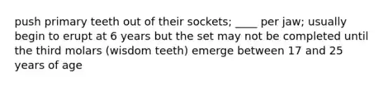 push primary teeth out of their sockets; ____ per jaw; usually begin to erupt at 6 years but the set may not be completed until the third molars (wisdom teeth) emerge between 17 and 25 years of age