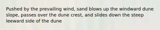 Pushed by the prevailing wind, sand blows up the windward dune slope, passes over the dune crest, and slides down the steep leeward side of the dune