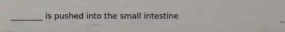 ________ is pushed into the small intestine