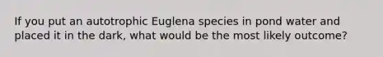 If you put an autotrophic Euglena species in pond water and placed it in the dark, what would be the most likely outcome?