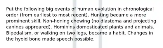 Put the following big events of human evolution in chronological order (from earliest to most recent). Hunting became a more prominent skill. Non-honing chewing (no diastema and projecting canines appreared). Hominins domesticated plants and animals. Bipedalism, or walking on two legs, became a habit. Changes in the hyoid bone made speech possible.