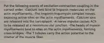 Put the following events of excitation-contraction coupling in the correct order. -Calcium ions bind to troponin molecules on the actin myofilaments. -The troponin-tropomysin complex moves, exposing active sites on the actin myofilaments. -Calcium ions are released into the sarcoplasm. -A nerve impulse causes ACh to be released at a neuromuscular junction. -The heads of myosin myofilaments bind to sites on the actin myofilaments, forming cross-bridges. -The T tubules carry the action potential to the interior of the muscle fiber.