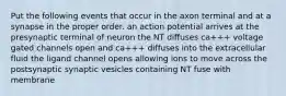 Put the following events that occur in the axon terminal and at a synapse in the proper order. an action potential arrives at the presynaptic terminal of neuron the NT diffuses ca+++ voltage gated channels open and ca+++ diffuses into the extracellular fluid the ligand channel opens allowing ions to move across the postsynaptic synaptic vesicles containing NT fuse with membrane