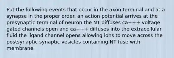 Put the following events that occur in the axon terminal and at a synapse in the proper order. an action potential arrives at the presynaptic terminal of neuron the NT diffuses ca+++ voltage gated channels open and ca+++ diffuses into the extracellular fluid the ligand channel opens allowing ions to move across the postsynaptic synaptic vesicles containing NT fuse with membrane