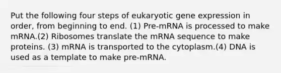 Put the following four steps of eukaryotic gene expression in order, from beginning to end. (1) Pre-mRNA is processed to make mRNA.(2) Ribosomes translate the mRNA sequence to make proteins. (3) mRNA is transported to the cytoplasm.(4) DNA is used as a template to make pre-mRNA.