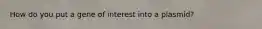 How do you put a gene of interest into a plasmid?