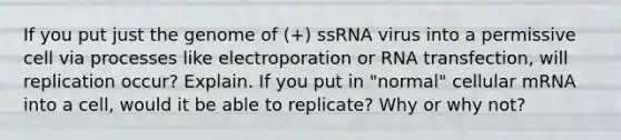 If you put just the genome of (+) ssRNA virus into a permissive cell via processes like electroporation or RNA transfection, will replication occur? Explain. If you put in "normal" cellular mRNA into a cell, would it be able to replicate? Why or why not?