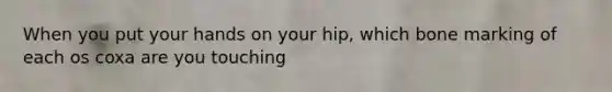 When you put your hands on your hip, which bone marking of each os coxa are you touching