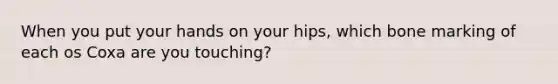 When you put your hands on your hips, which bone marking of each os Coxa are you touching?