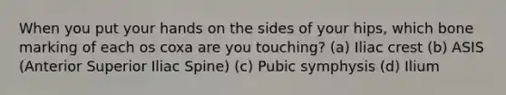 When you put your hands on the sides of your hips, which bone marking of each os coxa are you touching? (a) Iliac crest (b) ASIS (Anterior Superior Iliac Spine) (c) Pubic symphysis (d) Ilium
