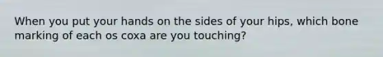 When you put your hands on the sides of your hips, which bone marking of each os coxa are you touching?
