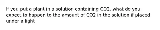 If you put a plant in a solution containing CO2, what do you expect to happen to the amount of CO2 in the solution if placed under a light