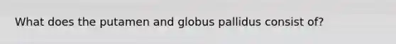 What does the putamen and globus pallidus consist of?