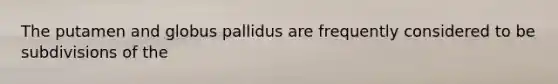 The putamen and globus pallidus are frequently considered to be subdivisions of the