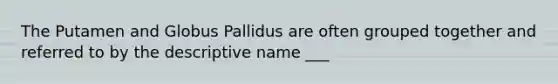 The Putamen and Globus Pallidus are often grouped together and referred to by the descriptive name ___