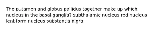 The putamen and globus pallidus together make up which nucleus in the basal ganglia? subthalamic nucleus red nucleus lentiform nucleus substantia nigra