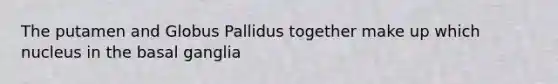 The putamen and Globus Pallidus together make up which nucleus in the basal ganglia