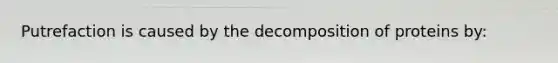 Putrefaction is caused by the decomposition of proteins by: