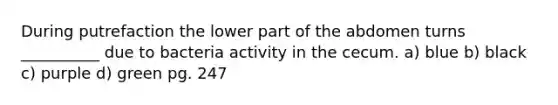 During putrefaction the lower part of the abdomen turns __________ due to bacteria activity in the cecum. a) blue b) black c) purple d) green pg. 247