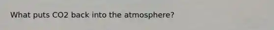 What puts CO2 back into the atmosphere?