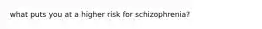 what puts you at a higher risk for schizophrenia?