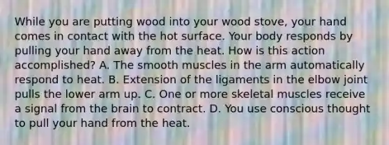 While you are putting wood into your wood​ stove, your hand comes in contact with the hot surface. Your body responds by pulling your hand away from the heat. How is this action​ accomplished? A. The smooth muscles in the arm automatically respond to heat. B. Extension of the ligaments in the elbow joint pulls the lower arm up. C. One or more skeletal muscles receive a signal from the brain to contract. D. You use conscious thought to pull your hand from the heat.