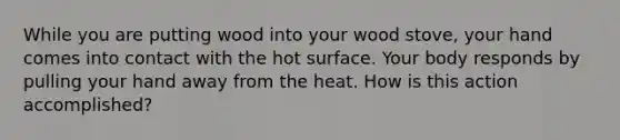 While you are putting wood into your wood stove, your hand comes into contact with the hot surface. Your body responds by pulling your hand away from the heat. How is this action accomplished?