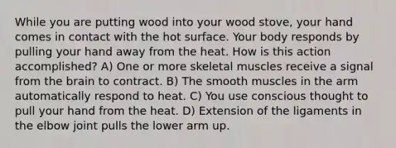 While you are putting wood into your wood stove, your hand comes in contact with the hot surface. Your body responds by pulling your hand away from the heat. How is this action accomplished? A) One or more skeletal muscles receive a signal from the brain to contract. B) The smooth muscles in the arm automatically respond to heat. C) You use conscious thought to pull your hand from the heat. D) Extension of the ligaments in the elbow joint pulls the lower arm up.