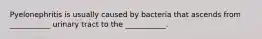 Pyelonephritis is usually caused by bacteria that ascends from ___________ urinary tract to the ___________.