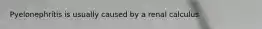 Pyelonephritis is usually caused by a renal calculus